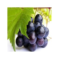 天然葡萄油香精廠家