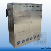 大型臭氧發(fā)生器 實力廠家價格優(yōu)惠100克