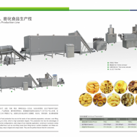 膨化休閑小食品生產(chǎn)線