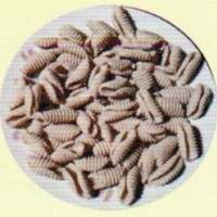多功能面食機(jī) 海螺面機(jī) 貝殼面機(jī)