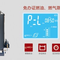 滅菌罐配套用100kg燃氣蒸汽鍋爐