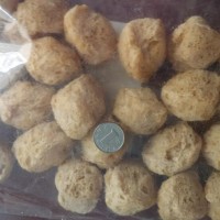 拉絲蛋白 生產(chǎn)機械