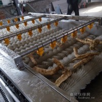 山藥清洗機中草藥前處理加工設備