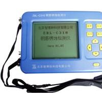 ZBL-C310鋼筋銹蝕檢測儀