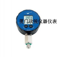 LEO RECORD記錄型數(shù)字壓力表(0.1%)