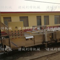 沙棘果解凍清洗機  沙棘果清洗機 速凍沙棘清洗設備介紹