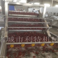 脆棗氣泡清洗機 若羌紅棗氣泡清洗機 利特大棗加工設備