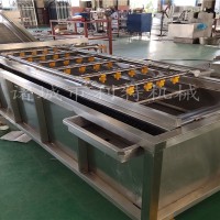 油菜清洗機 芹菜高壓氣泡清洗機 凈菜加工設備加工定制