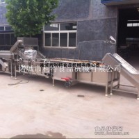 紅棗清洗機 紅棗清洗線 紅棗加工設備廠家