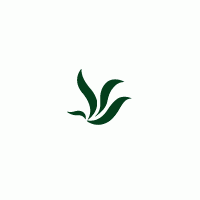 信和氣相擔(dān)體SHINCARBON A