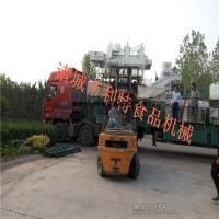 黑加侖清洗機  黑加侖葡萄干去石機 黑加侖葡萄干加工設備