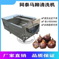 小型馬蹄清洗機馬蹄去泥機荸薺清洗機洗地栗機器