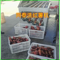 全自動紅薯清洗機 連續毛輥洗紅薯機器