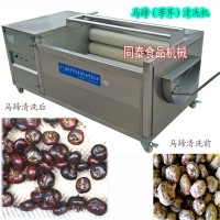 小型馬蹄清洗機馬蹄去泥機電動毛刷洗荸薺機器清洗干凈