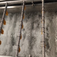 大棗氣泡清洗機廠家 小型紅棗清洗機 大棗清洗加工生產(chǎn)線