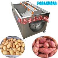 不傷皮小蜜薯清洗機 多功能毛輥果蔬清洗設備