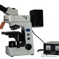 熒光顯微鏡 MF41 供應(yīng) 新疆 內(nèi)蒙專業(yè)銷售