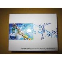 兔可溶性凋亡相關因子(sFAS/Apo-1)ELISA試劑盒