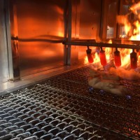 不銹鋼燒毛機 液化氣燒毛機 豬蹄燒毛機 加工定制