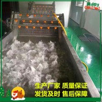 供應果蔬清洗機 噴淋式芹菜清洗機 大棗清洗流水線 加工定制