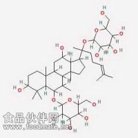 人參皂苷 Rg1 Ginsenoside Rg1 22427-39-0 對照品
