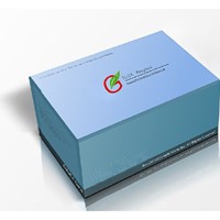 elisa試劑盒，全線七折優(yōu)惠，elisa試劑盒，購物有禮