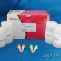 通用RT-PCR試劑盒（M-MLV）