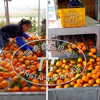 電動連續式柑橘洗果機洗橘子臍橙砂糖橘機器