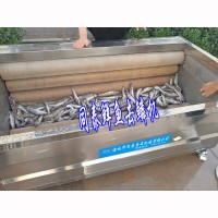 帶魚清洗機 秋刀魚去鱗毛輥清洗設備