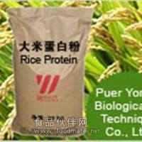 廠家直銷高品質(zhì)大米蛋白 粉