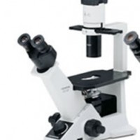 CKX31