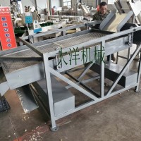 廠家直銷質優價廉的蒜種破瓣分選流水線 暢銷款大蒜加工設備