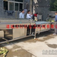 蘋果去農殘清洗機 水果清洗機 果蔬去農藥清洗機 果蔬清洗