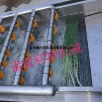 長條蔬菜粗加工長葉菜清洗機 氣泡蔬菜清洗加工線