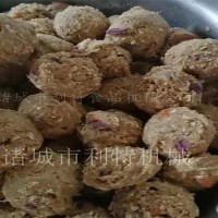 利特變頻肉圓機(jī) 40魚(yú)丸成型機(jī) 自動(dòng)丸子機(jī)圓度好