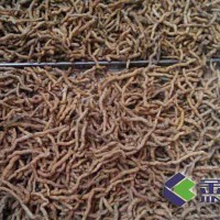 金凱牌巴戟熱泵烘干機 巴戟天干燥設備廠家