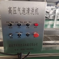 氣泡蔬菜清洗機供應商 香菜清洗機 小白菜自動清洗機