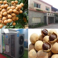 龍眼干烘干機(jī)