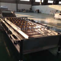 芹菜氣泡清洗機(jī) 隔板式芫荽清洗機(jī) 芹菜清洗機(jī)廠家定做