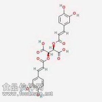 菊苣酸 Cichoric acid 70831-56-0 對照品