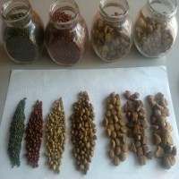 狐貍飼料加工機(jī)械