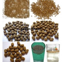 熱帶魚飼料生產機械熱帶魚飼料機械熱帶魚飼料加工機械