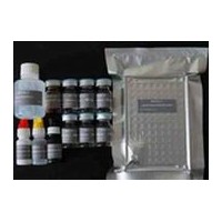晚期糖基化終末產物elisa,豚鼠(AGEs）Elisa試劑盒