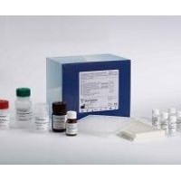 猴免疫球蛋白G(IgG)酶聯(lián)免疫分析（ELISA）說(shuō)明書(shū)