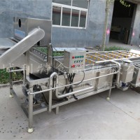 環(huán)保葡萄干清洗機 杏仁氣泡清洗機 紅棗清洗機 水果清洗設(shè)備