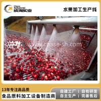果蔬汁飲料生產(chǎn)線 桃李杏加工生產(chǎn)線 NFC純果汁成套生產(chǎn)線