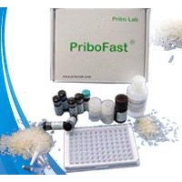 aokinMycoPlateFUM Aokin伏馬毒素B1試劑盒