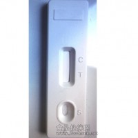 黃曲霉毒素M1檢測卡