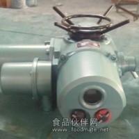 Z20-24W/T智能調節型閥門電動裝置