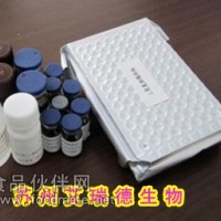氯霉素快速檢測試劑盒